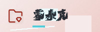 合作伙伴
